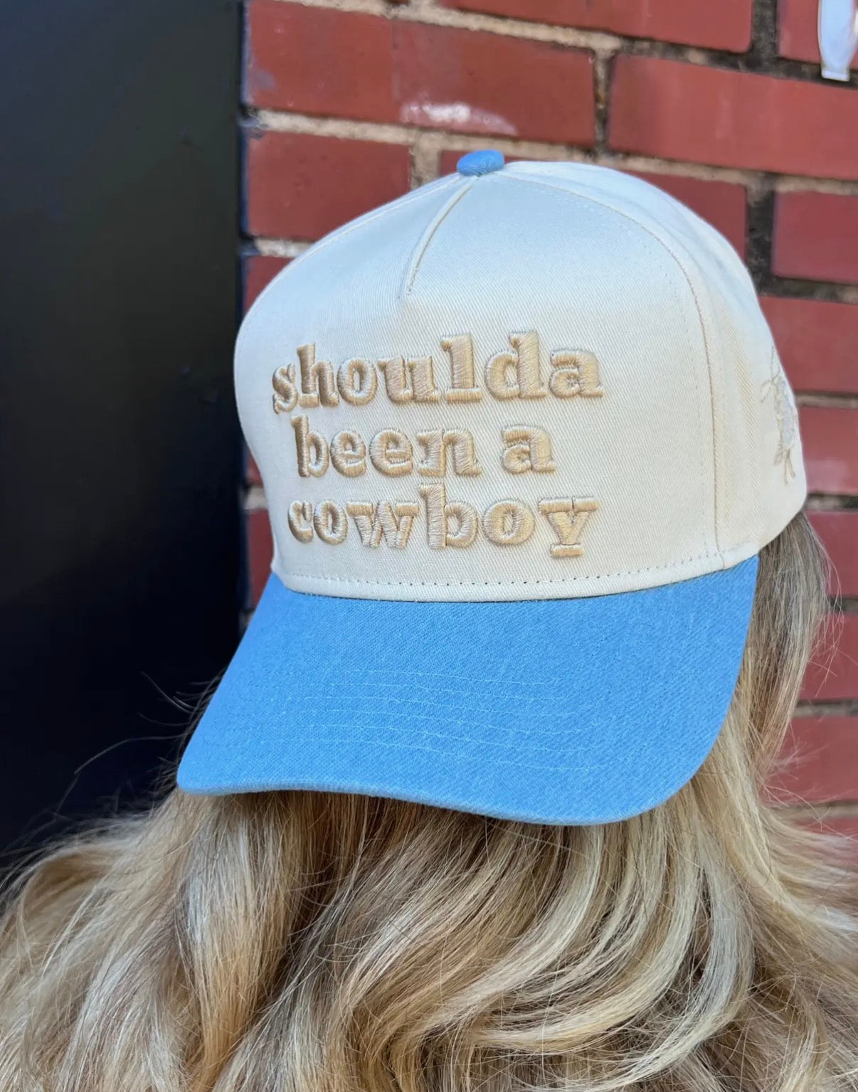 Shoulda Been a Cowboy