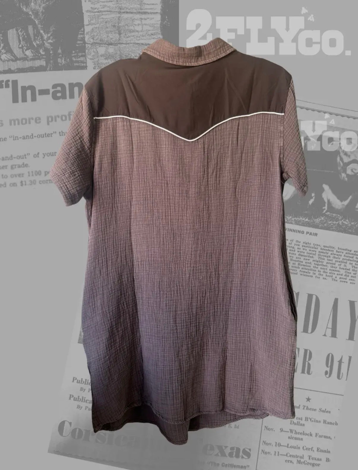 Perry Yoke Dress