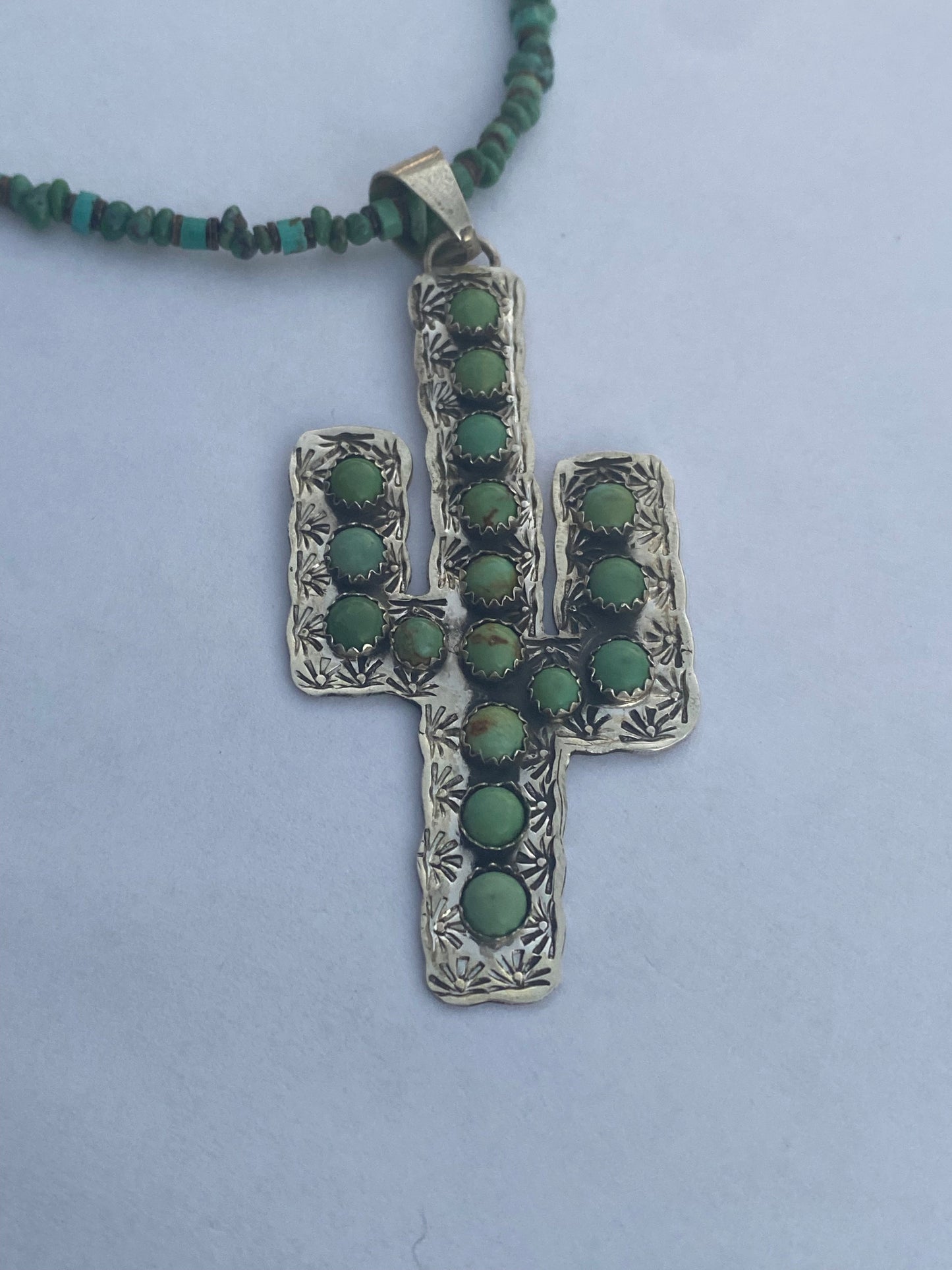Navajo Royston Turquoise Saguaro Sterling Necklace