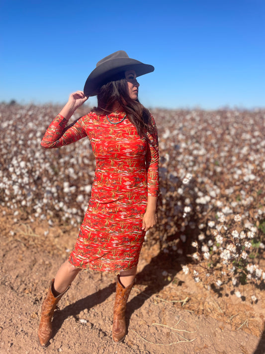 Vintage Cowboy Dress