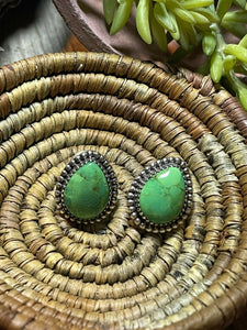 Beautiful Navajo Sterling Silver Dyed Kingman Turquoise Post Earrings