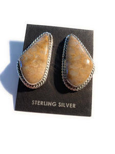 Navajo Fossilized Coral & Sterling Silver Studs