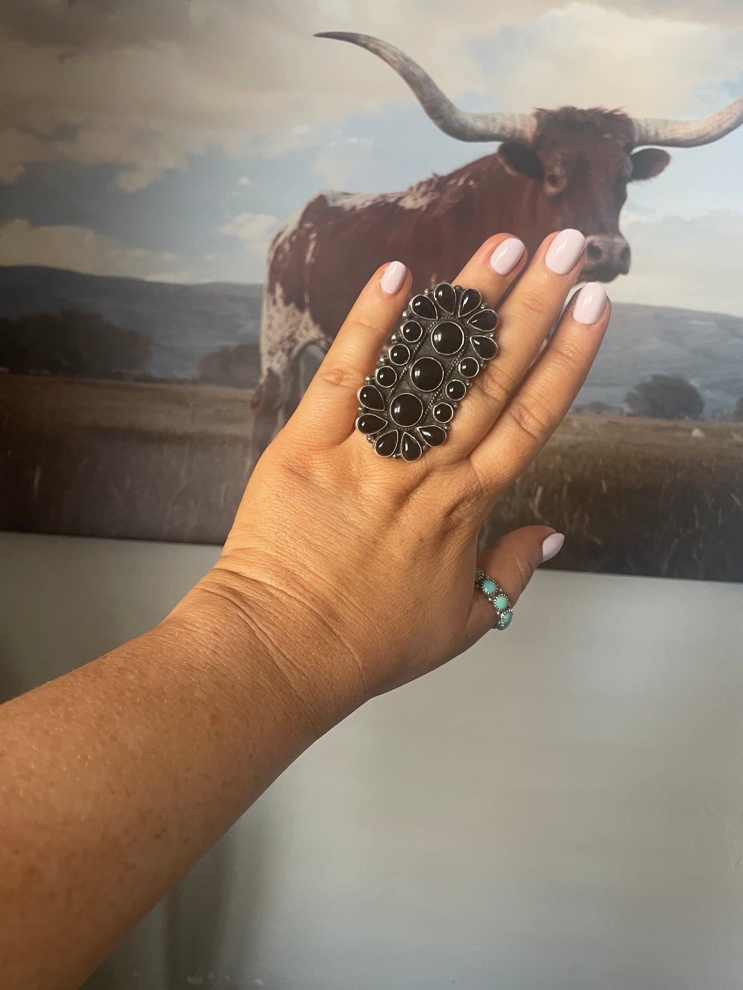 Navajo Sterling Silver And Black Onyx Ring Size 7