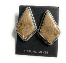 Load image into Gallery viewer, Navajo Fossilized Coral &amp; Sterling Silver Post Earrings Signed